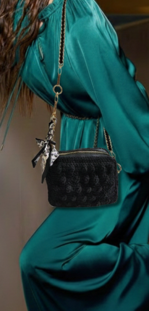 حقيبة الاميرة ديانا